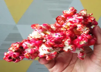 Popcorn Red Velvet