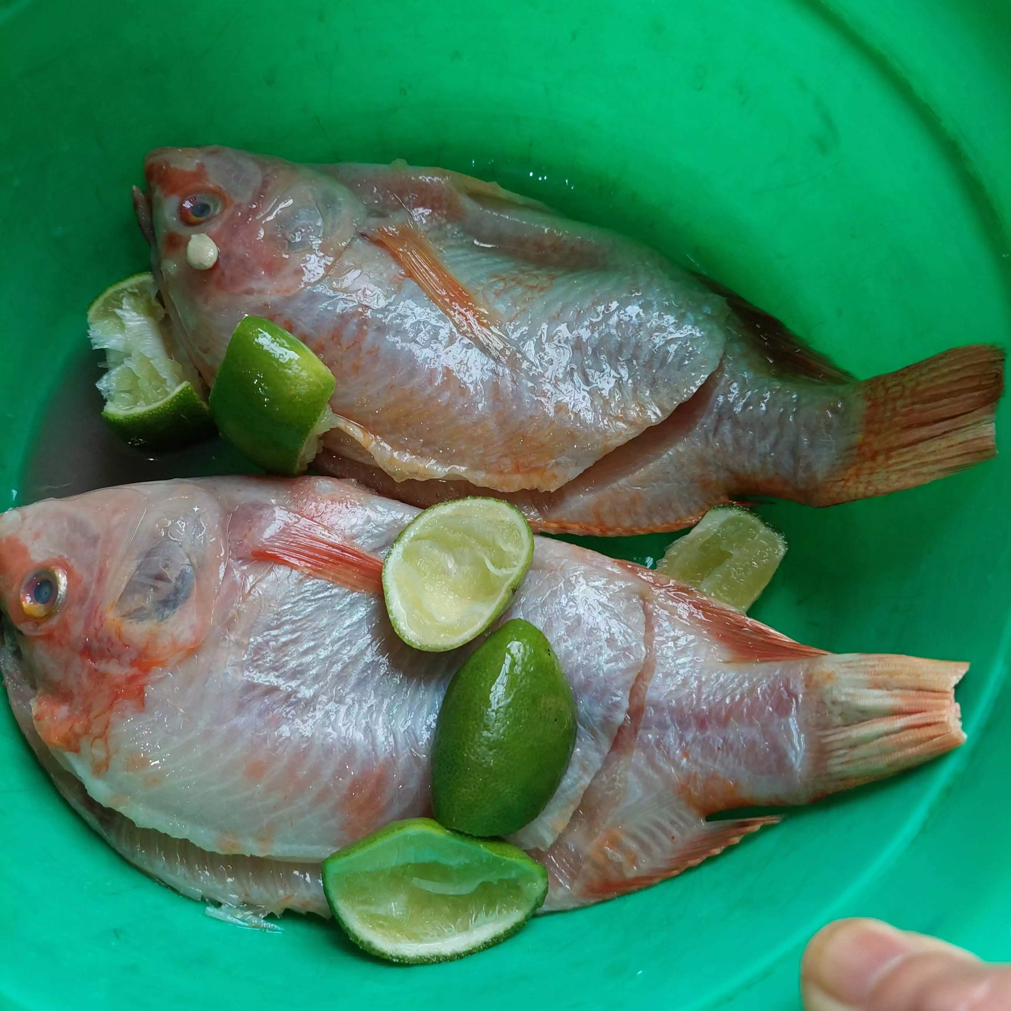 Step 1 Ikan Nila Panggang