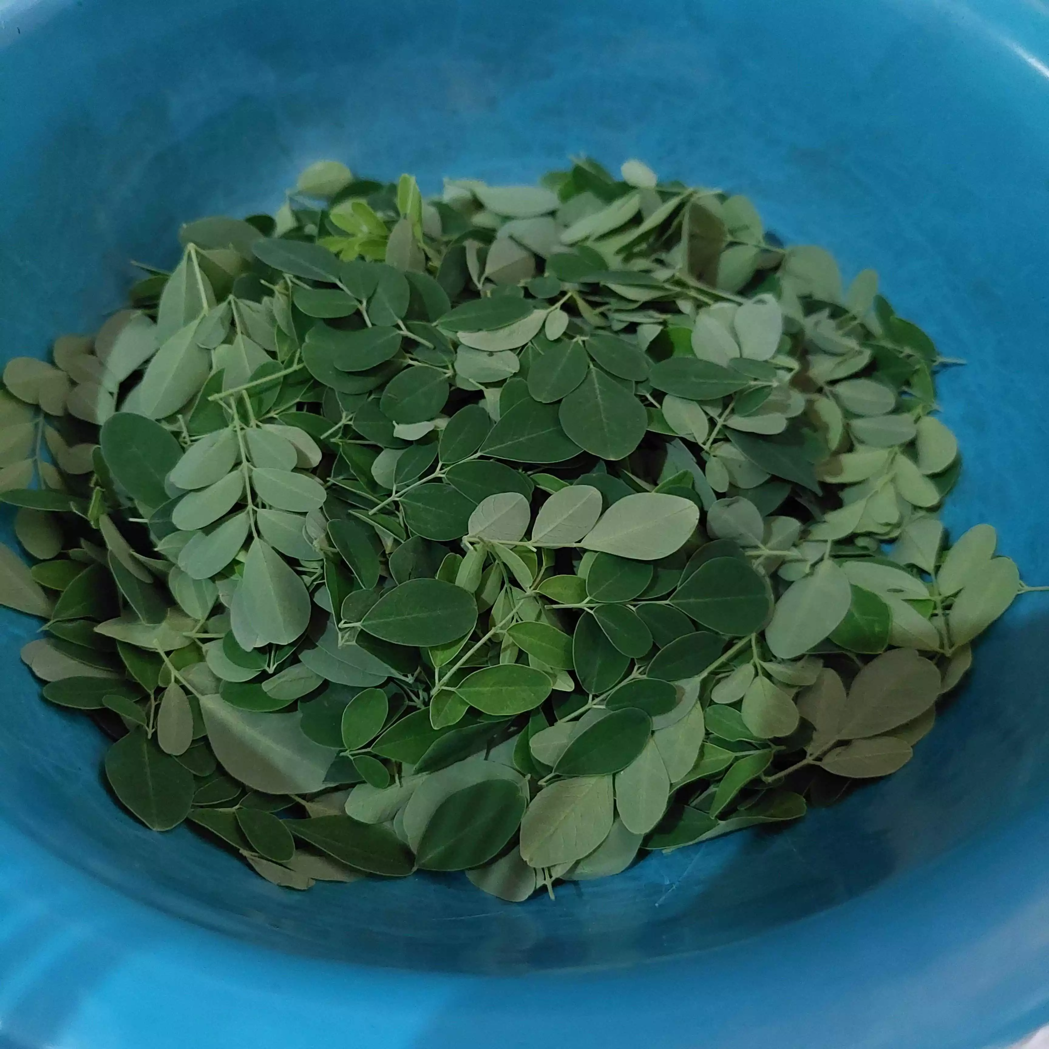Step 1 Telur Dadar Daun Kelor
