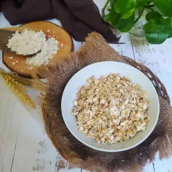 Nasi Oatmeal