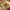 Thai Green Curry (Kari Hijau Thailand)