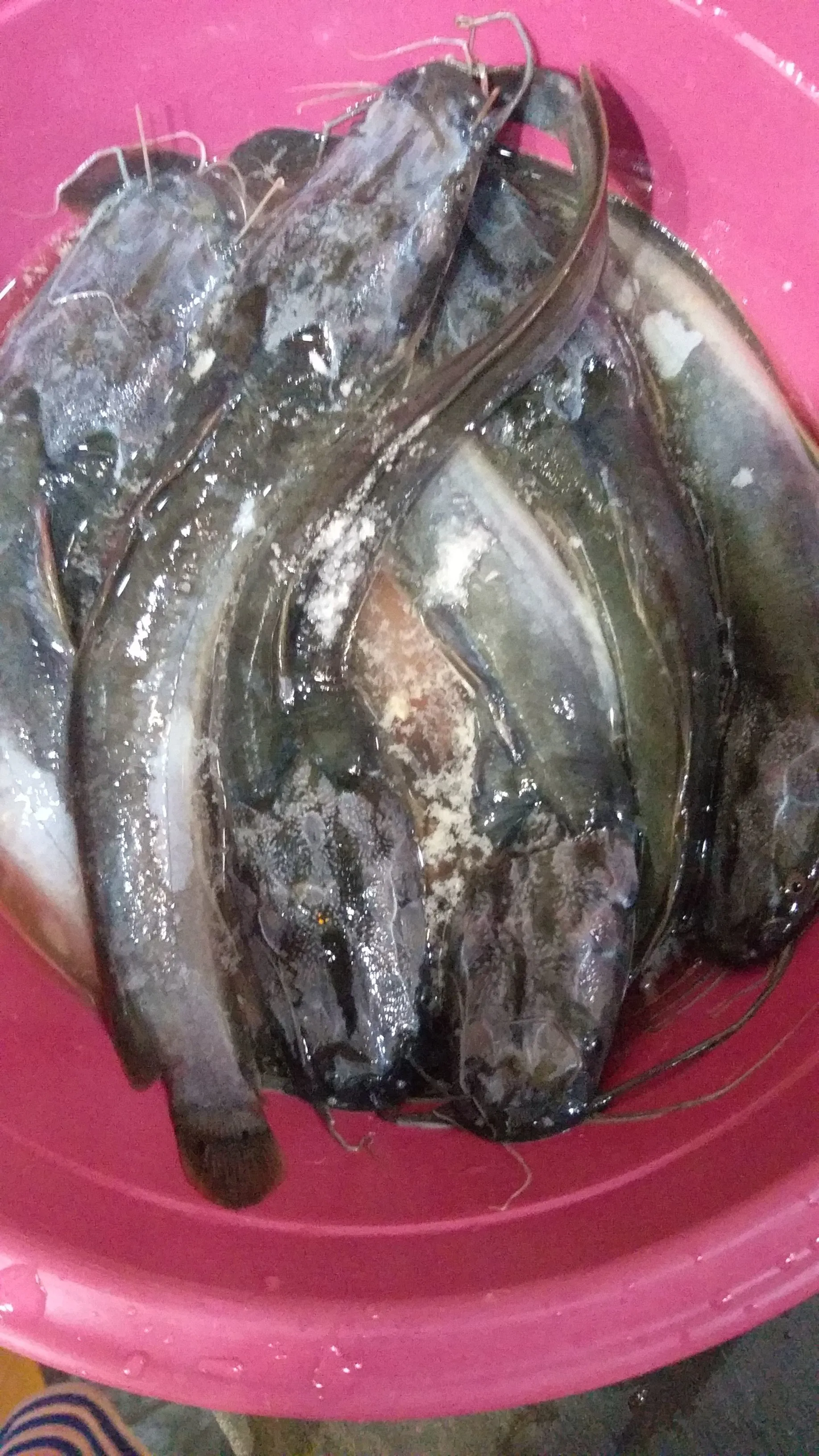 Step 1 Pecel Lele