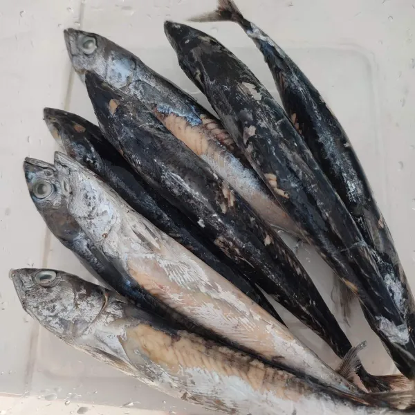 Cuci bersih ikan pindang.
