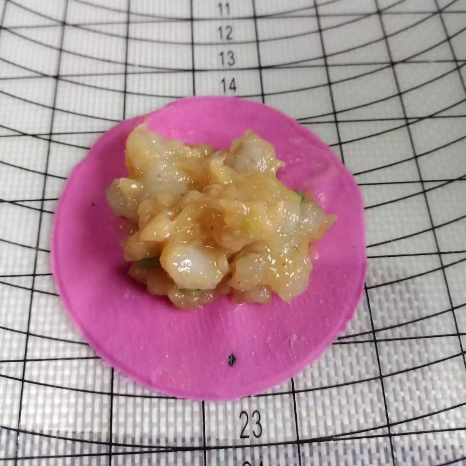 Step 7 Dimsum Ayam Buah Naga