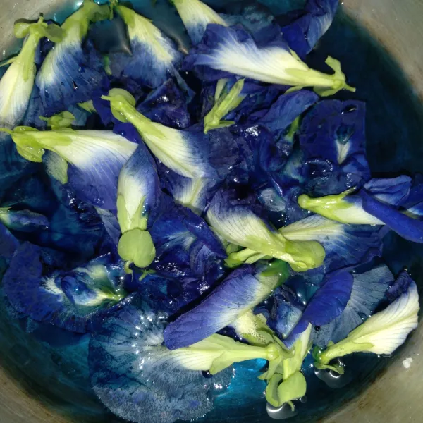 Rebus bunga telang dengan air hingga mendidih, saring dalam baskom/ wadah.