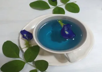 Teh Bunga Telang