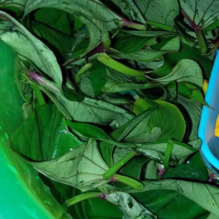 Step 1 Sayur Asem Daun Ubi Labu Parang