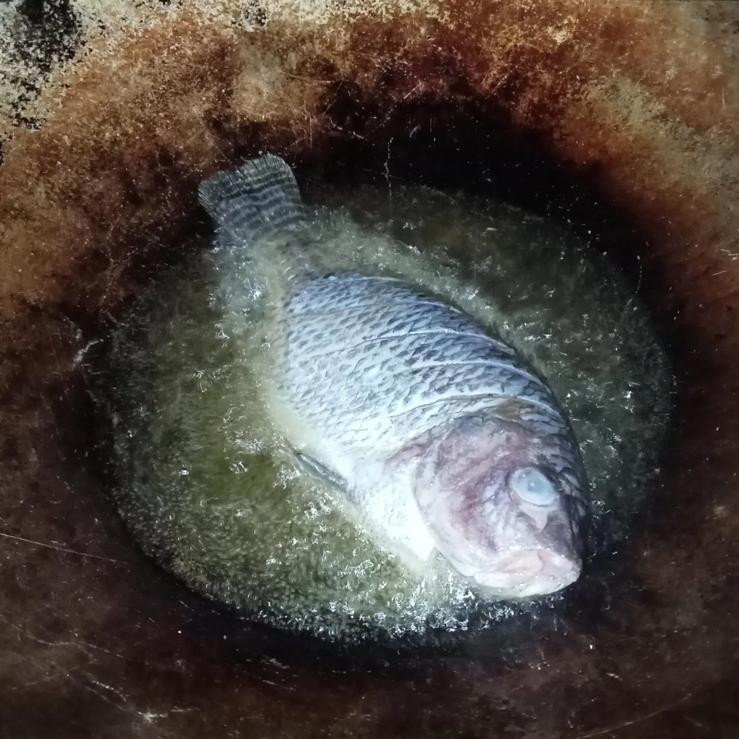 Step 2 Ikan Nila Goreng Sambal Banjur