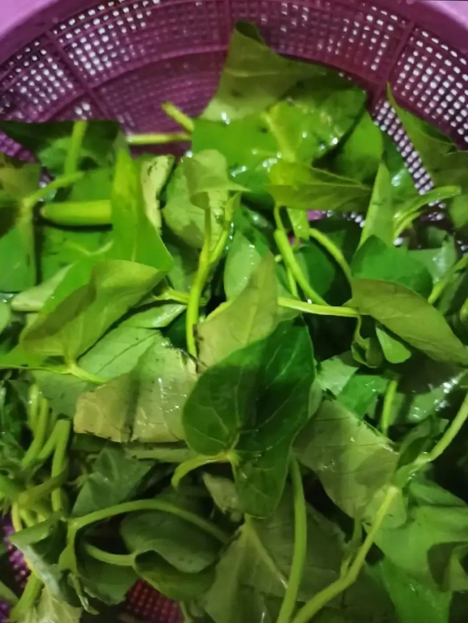 Step 1 Tumis Kangkung Belacan