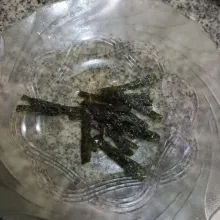 Gunting nori menjadi potongan korek.