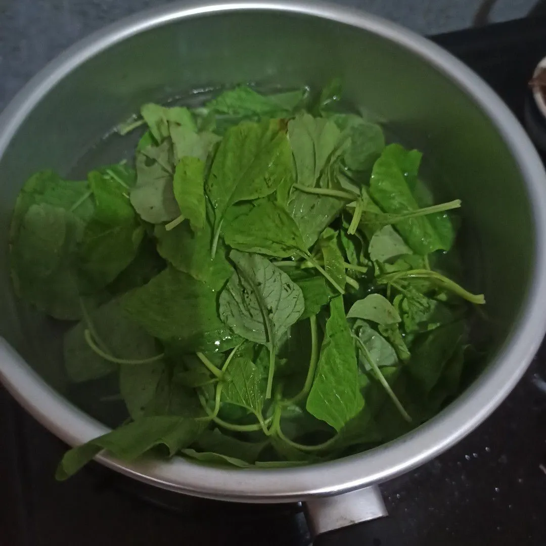 Step 3 Bening Bayam