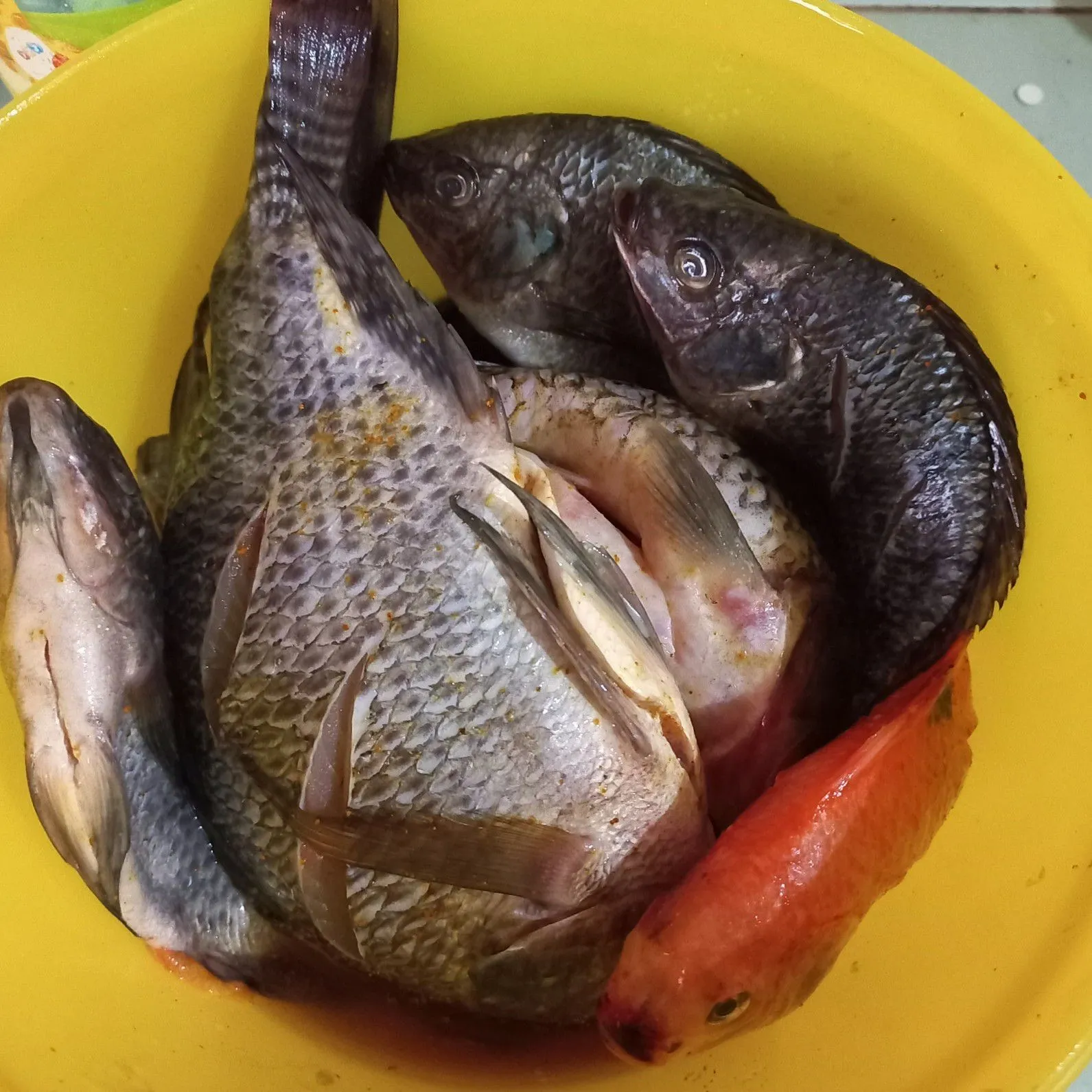 Step 1 Baby Nila Sambal Balado