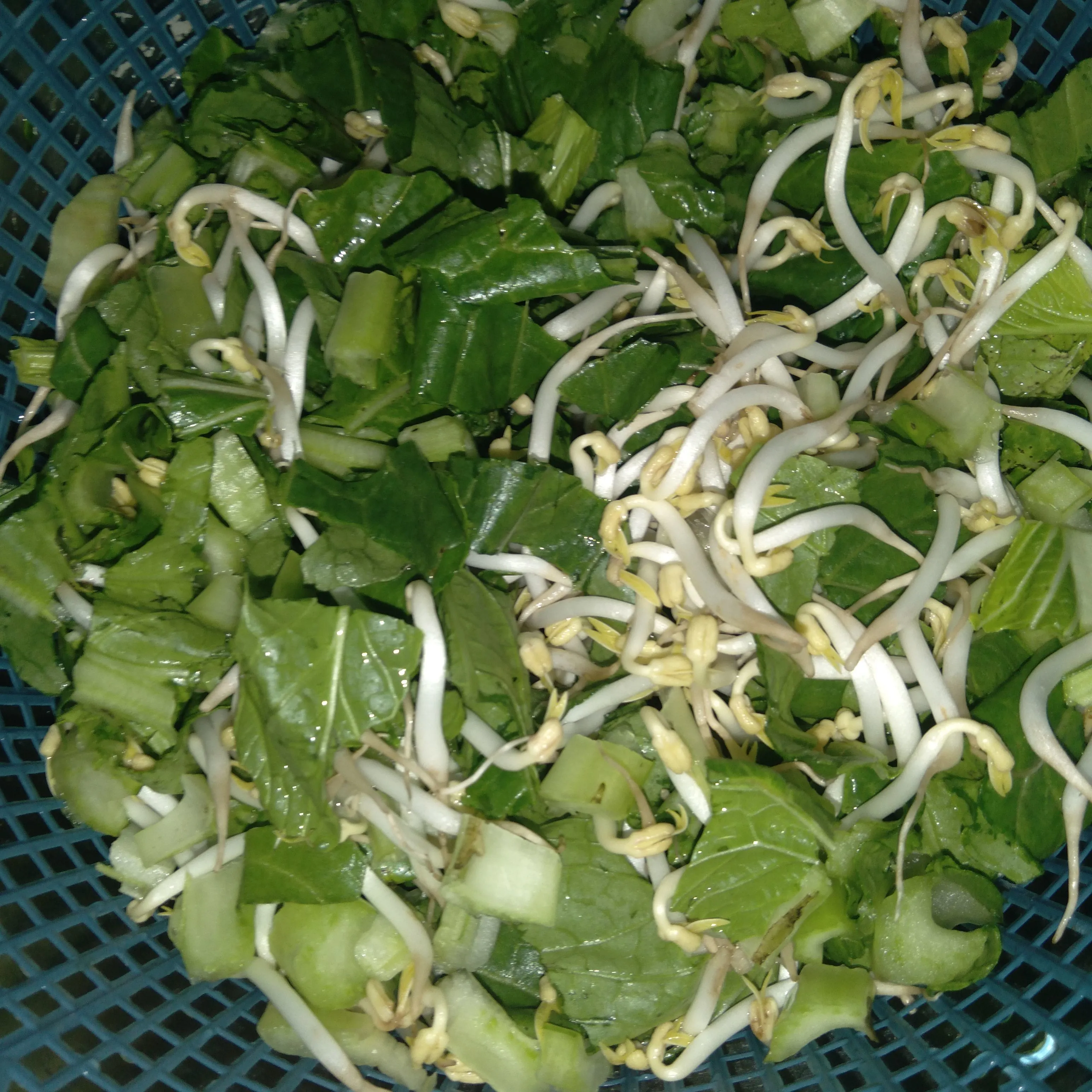 Step 1 Tumis BASATO