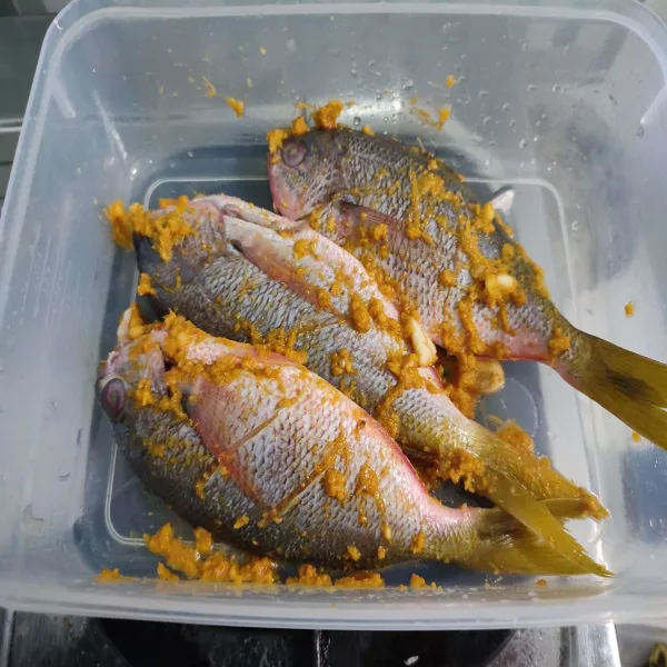 Campurkan ikan dengan bumbu manasi, diamkan selama 30 menit.