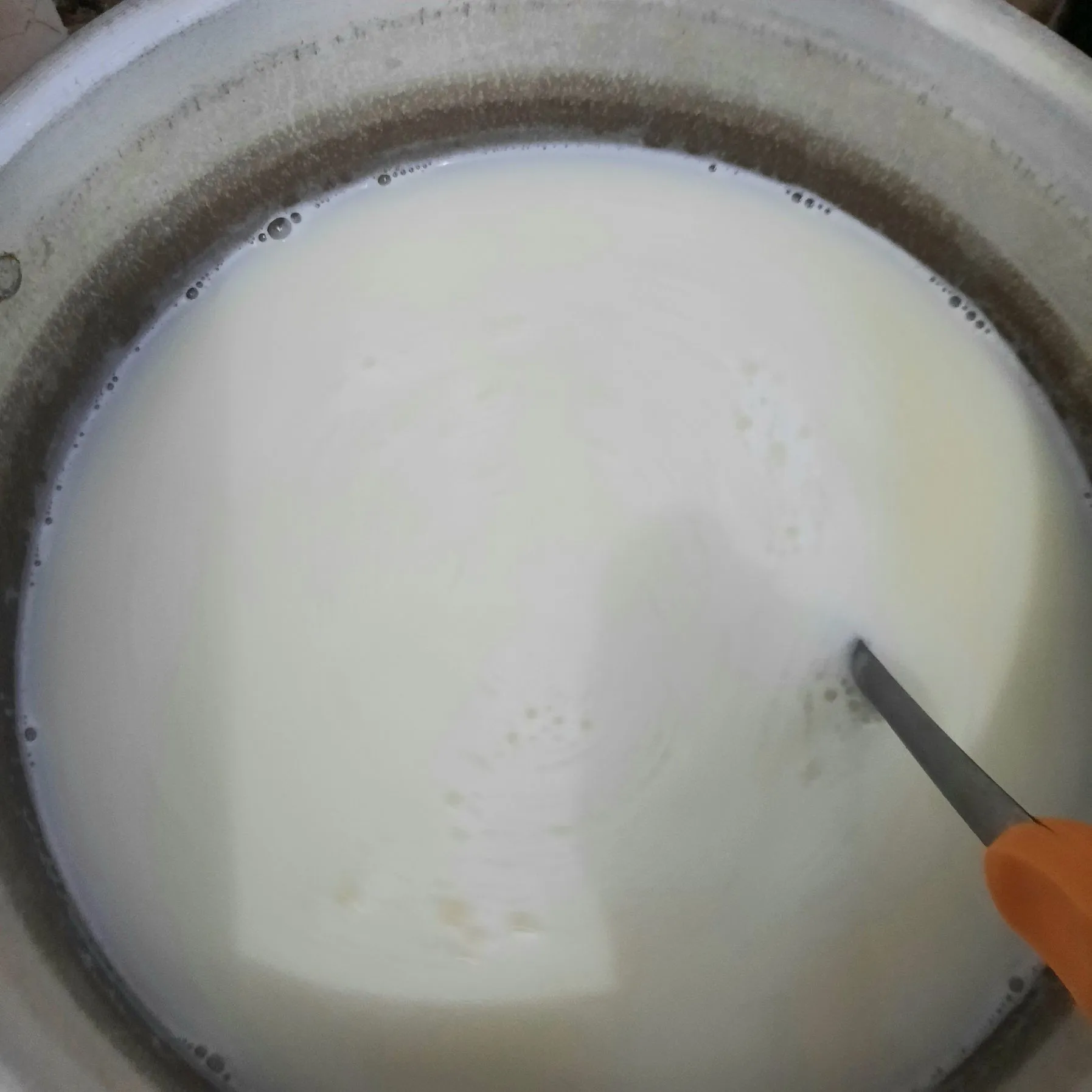 Step 3 Puding Sutra Frutti