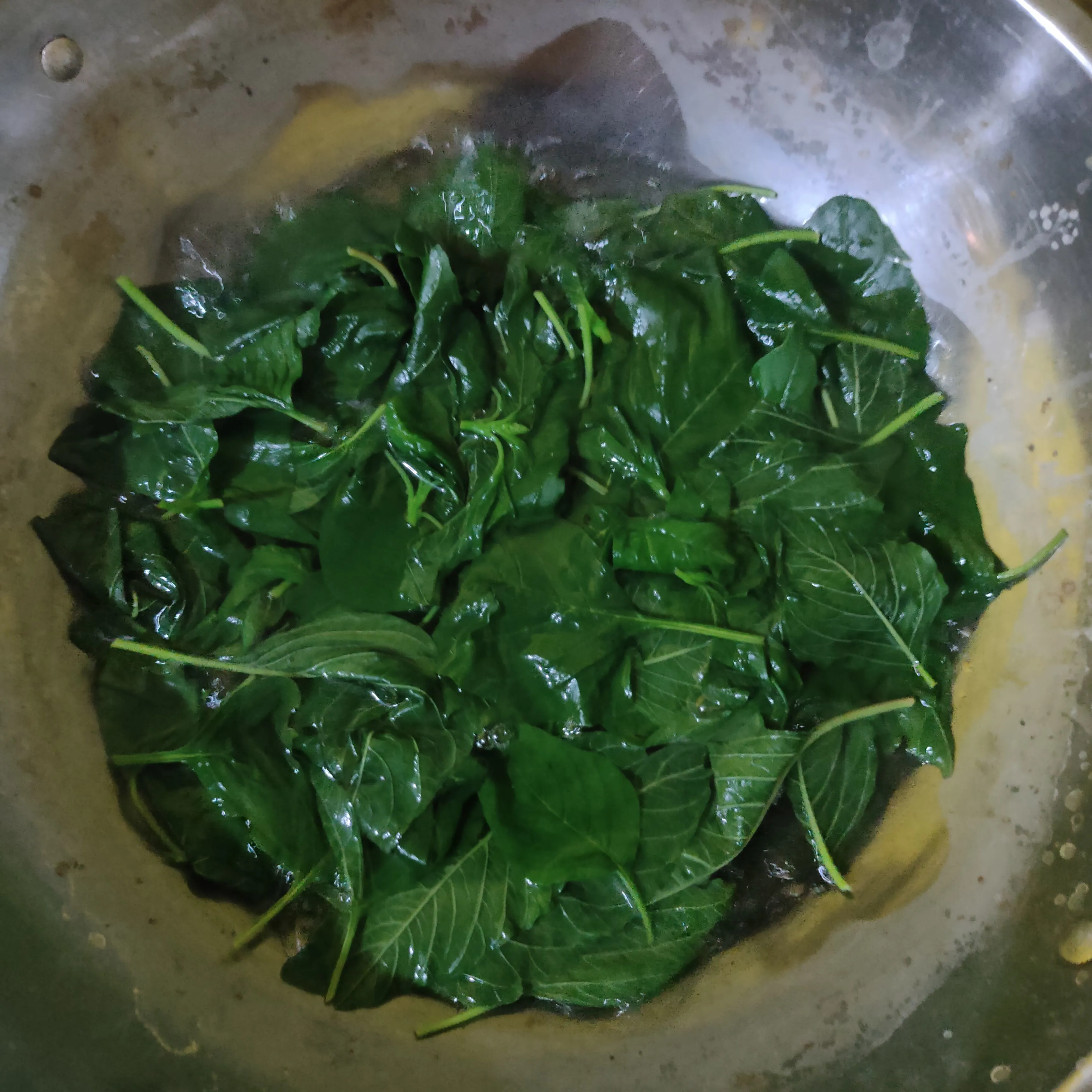 Step 3 Plecing Bayam