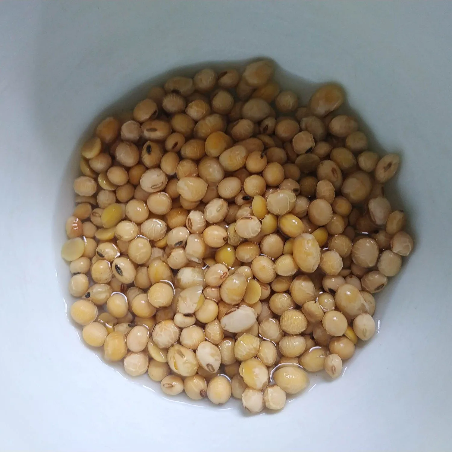 Step 1 Ketan Bubuk Kedelai