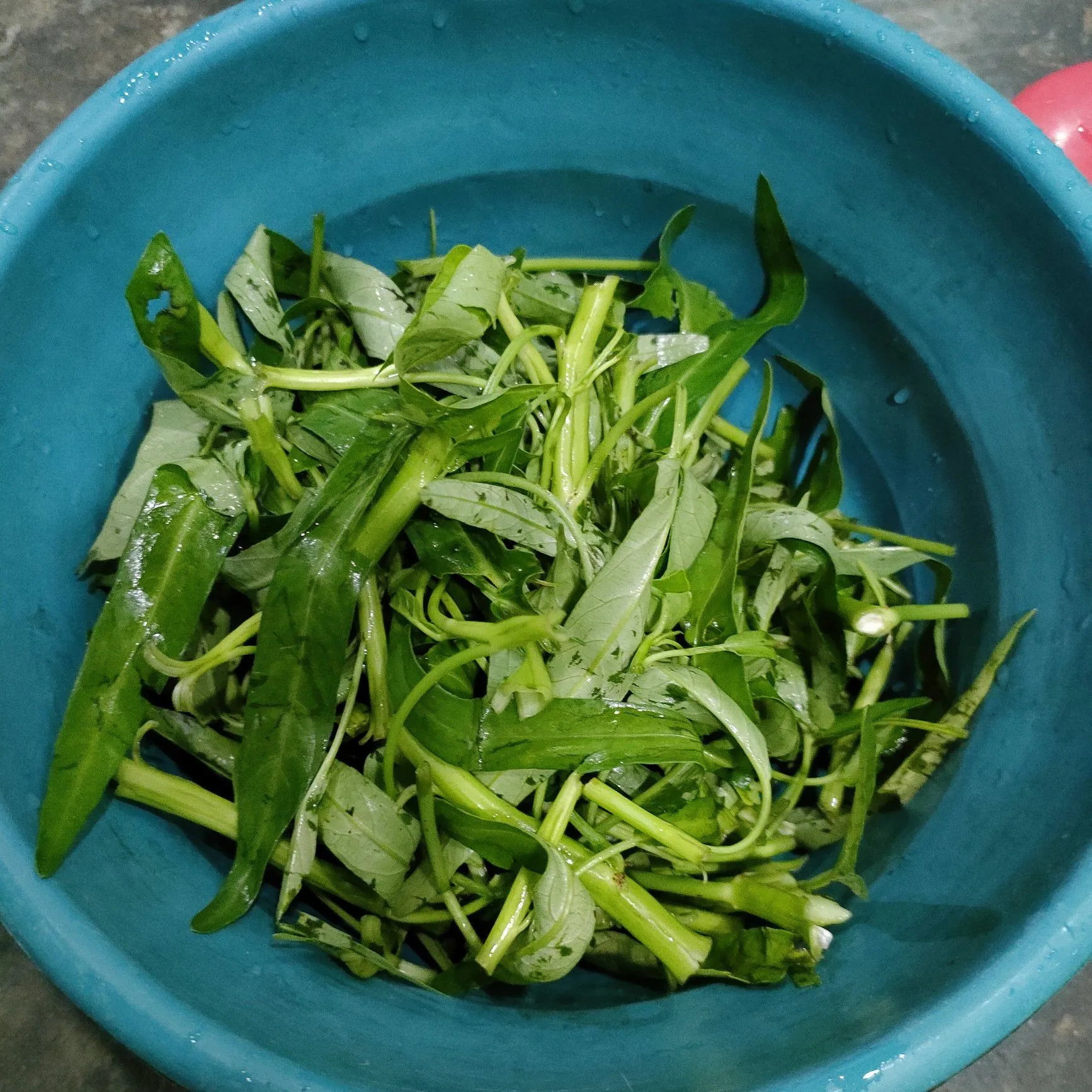 Step 1 Kangkung Saus Tiram