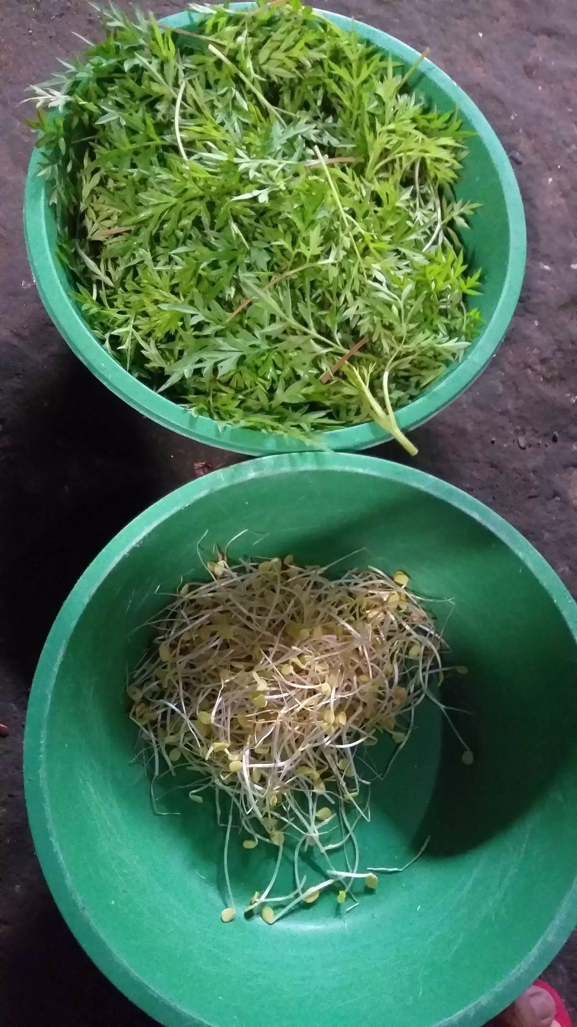 Step 1 Krawu