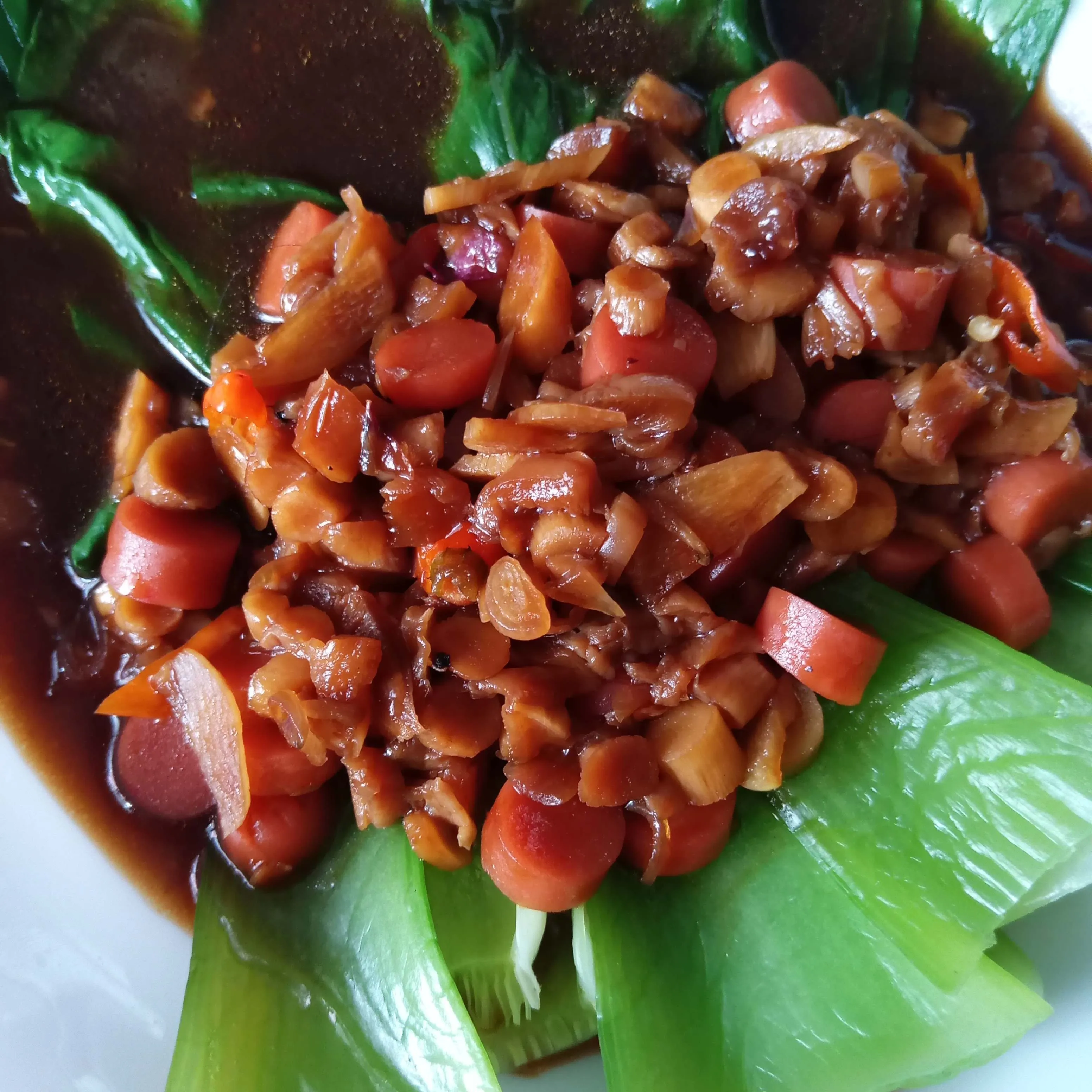 Step 6 Pokcoy Siram Batang Jamur