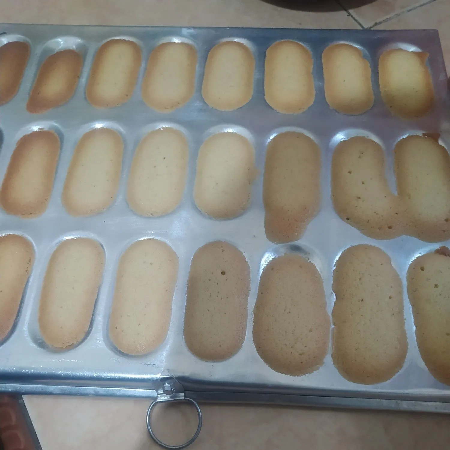 Step 8 Lidah Kucing