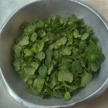 Siapkan daun mint, ambil bagian daunnya saja, cuci bersih dan tiriskan.
