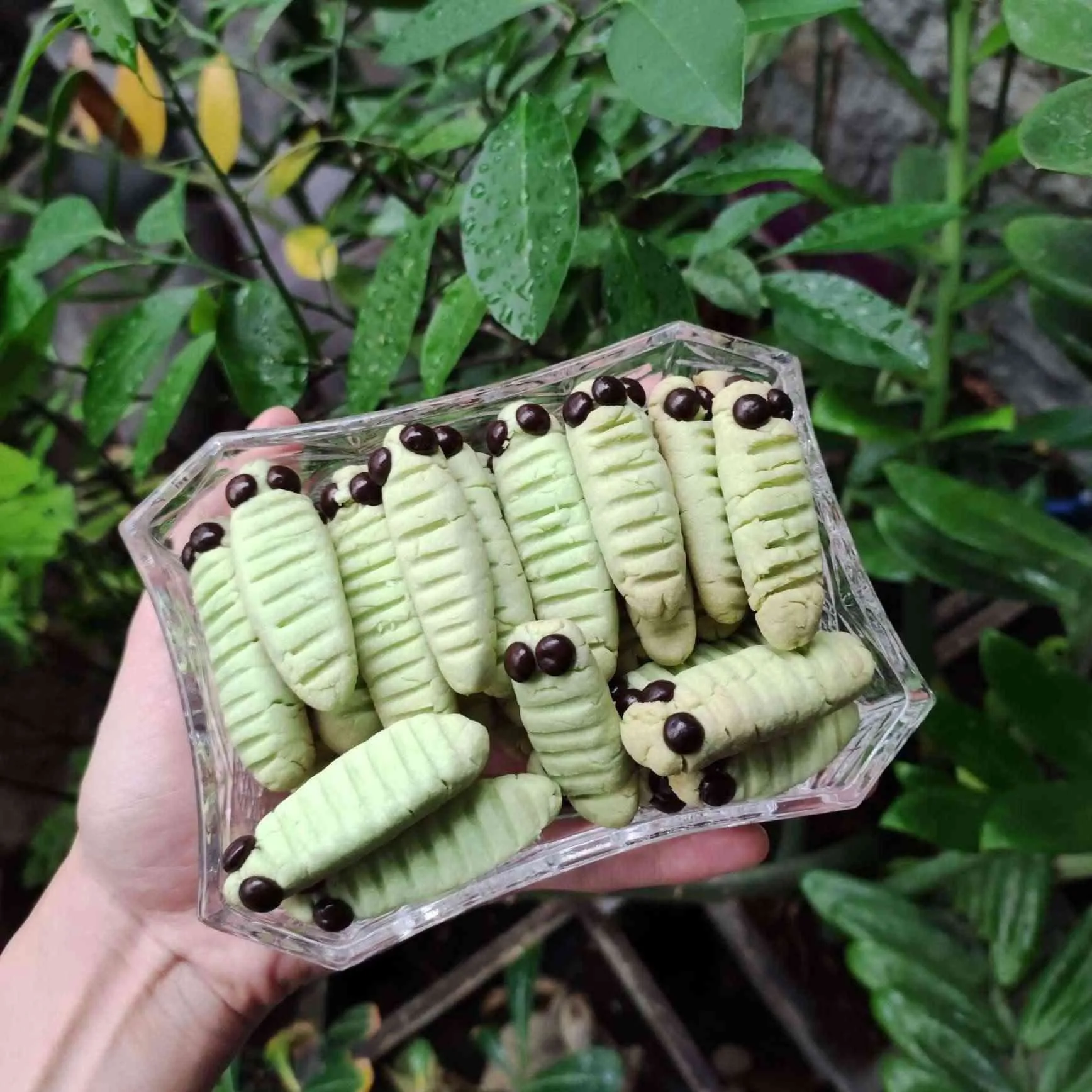 Kue Ulat Hijau