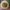 Ayam Woku Rice Cooker