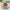 Mini Cheese Burger #JagoMasakPeriode4Week7