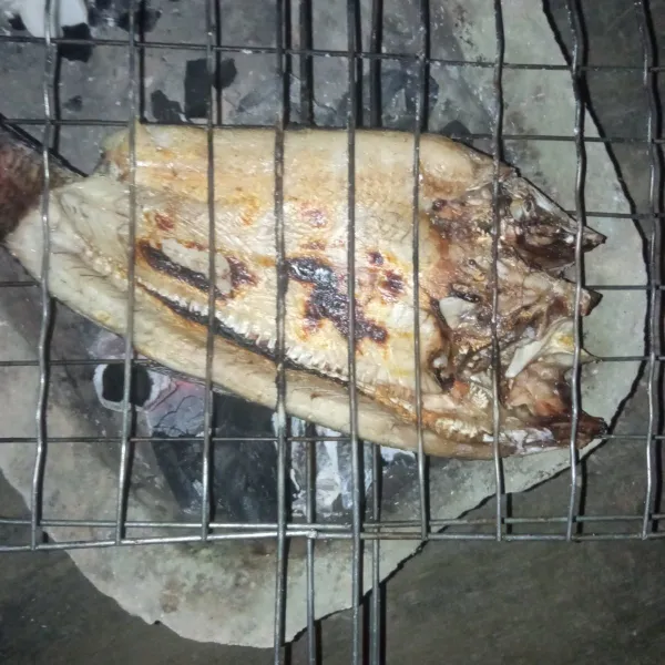 Bakar ikan gabus di atas bara api sampai matang.