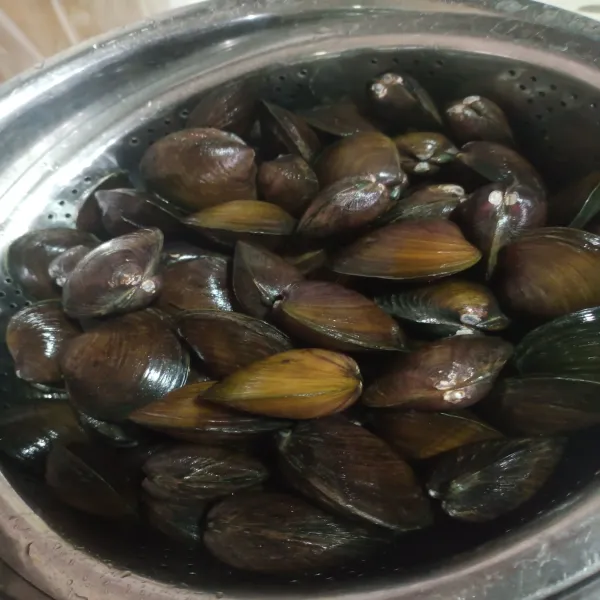 bersihkan kerang lokan