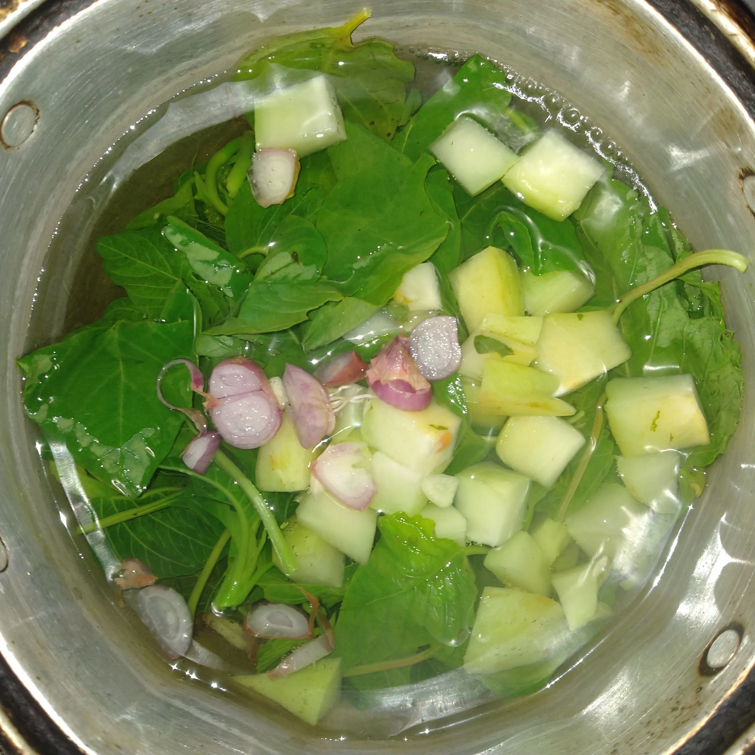 Step 4 Sayur Bening Bayam Labu Siam MPASI