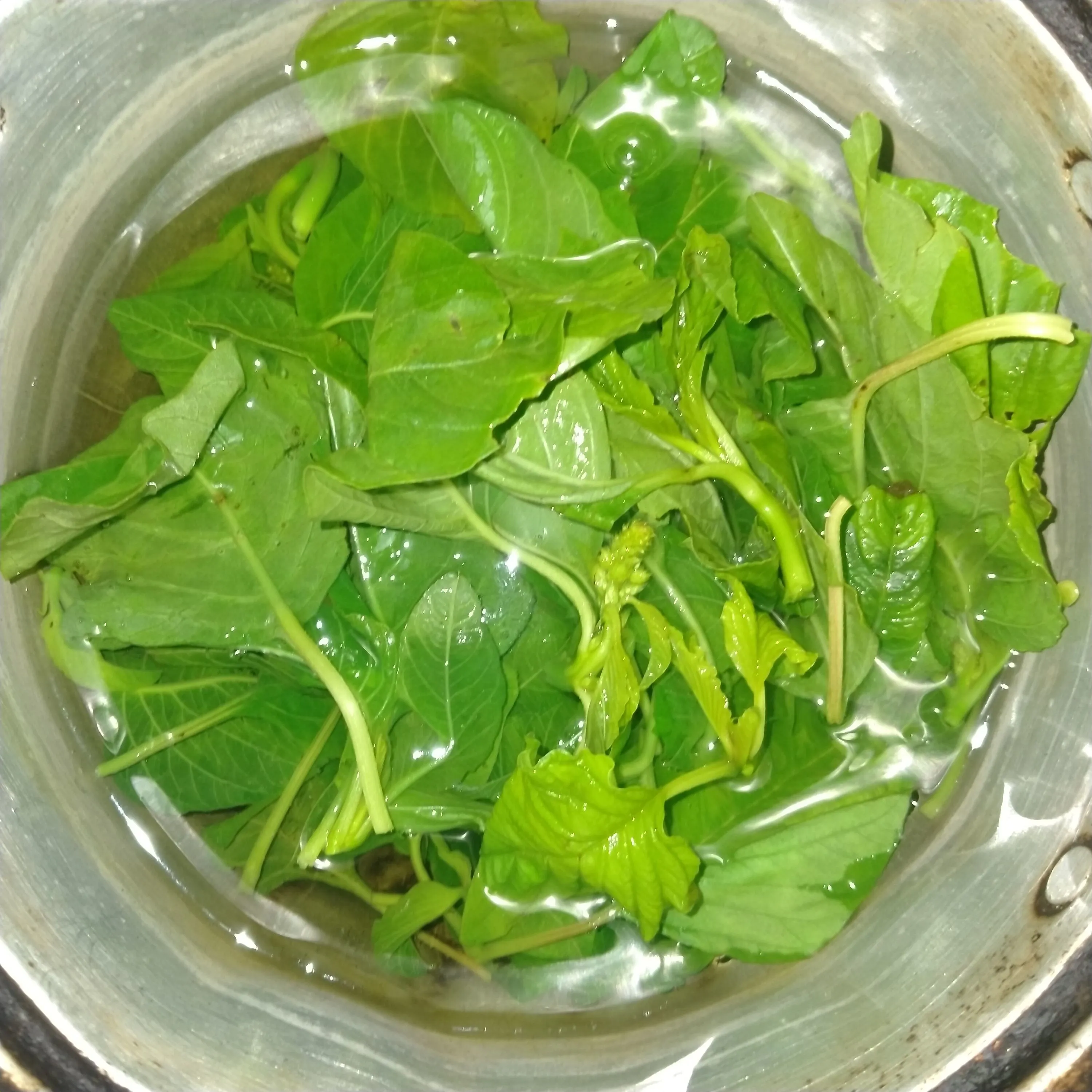 Step 3 Sayur Bening Bayam Labu Siam MPASI