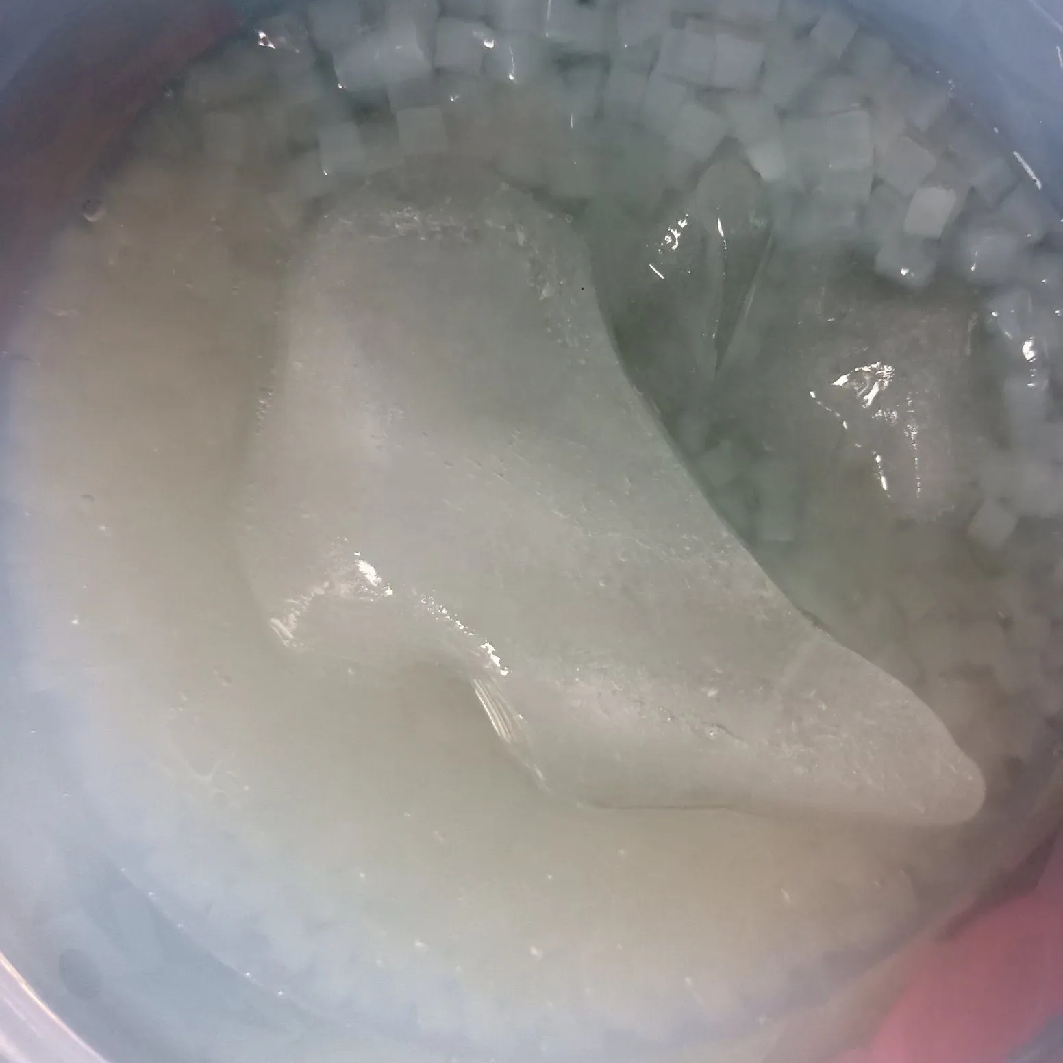 Step 2 Es Minaco with Sirup Melon