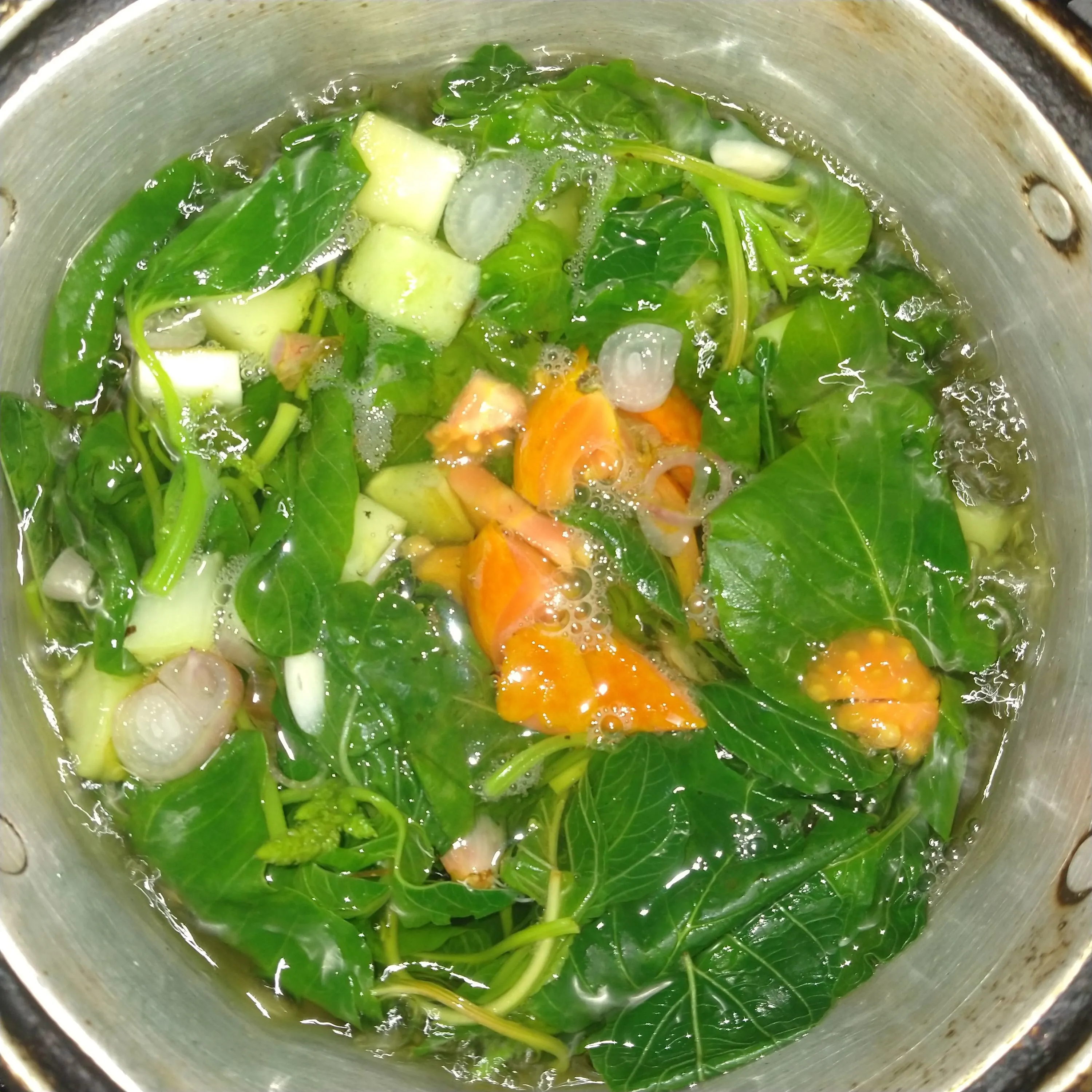Step 5 Sayur Bening Bayam Labu Siam MPASI
