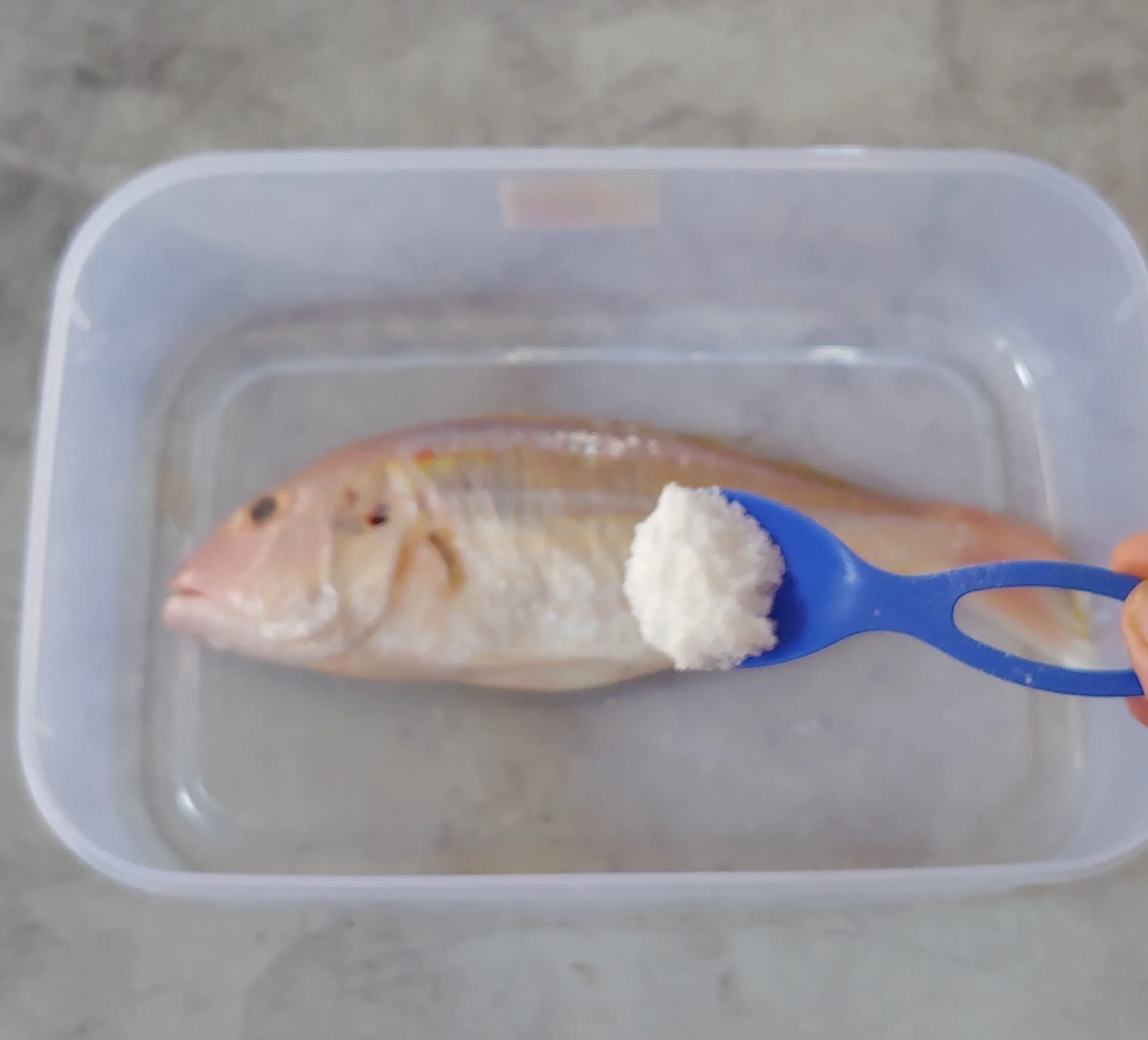 Step 1 Steam Fish