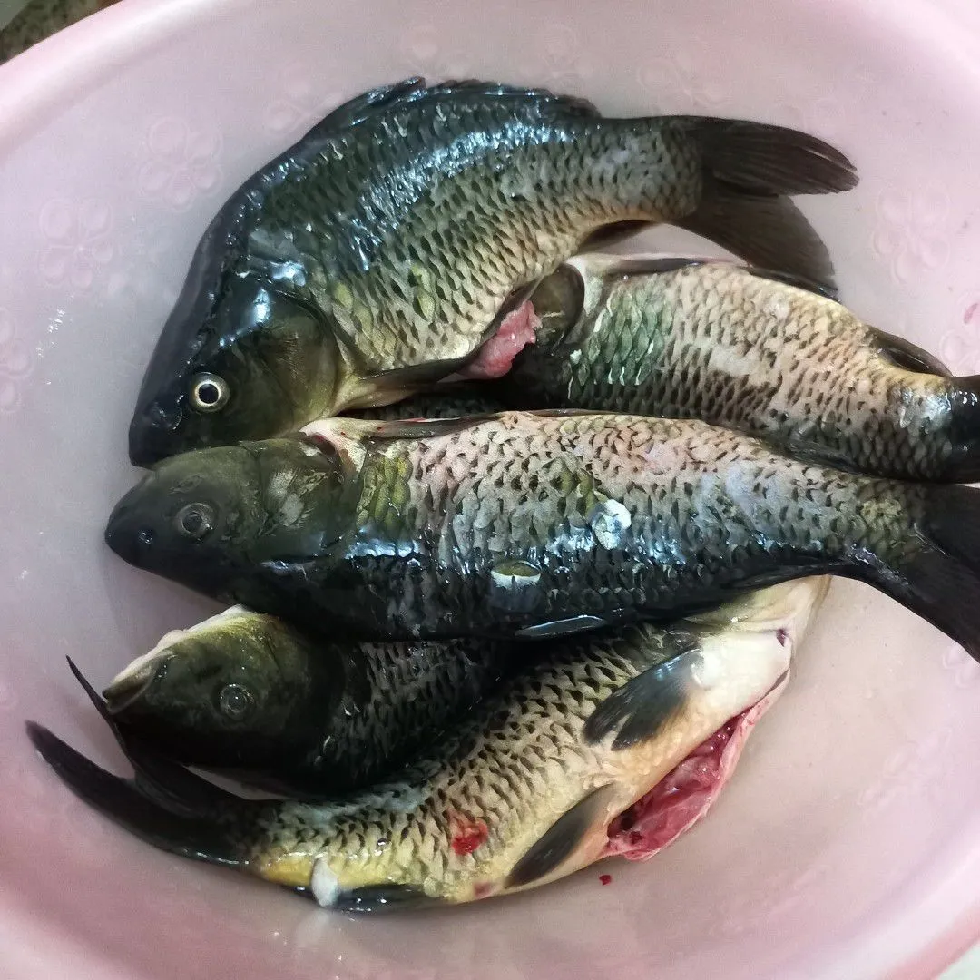 Step 1 Ikan Mas Goreng Sambal Cabe Ijo