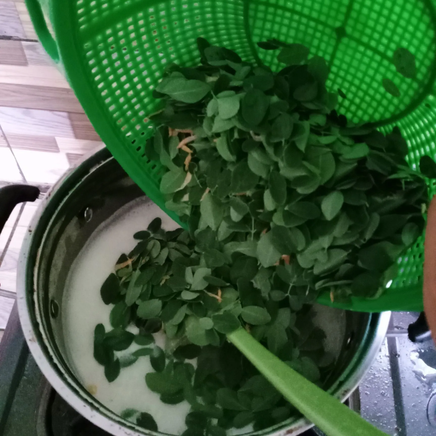 Step 5 Sayur Santan Kelor Rebon