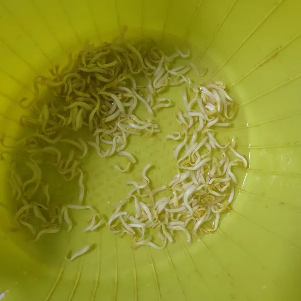 Cuci bersih taoge, rendam dalam air panas selama 30 detik, tiriskan.