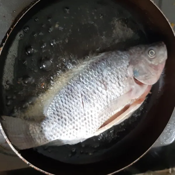 Panaskan panci penggorengan beri minyak goreng lalu masukkan ikan nila.