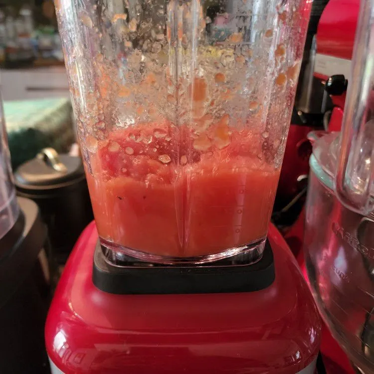 Step 2 Papaya Chiaseed & Granula Smoothies