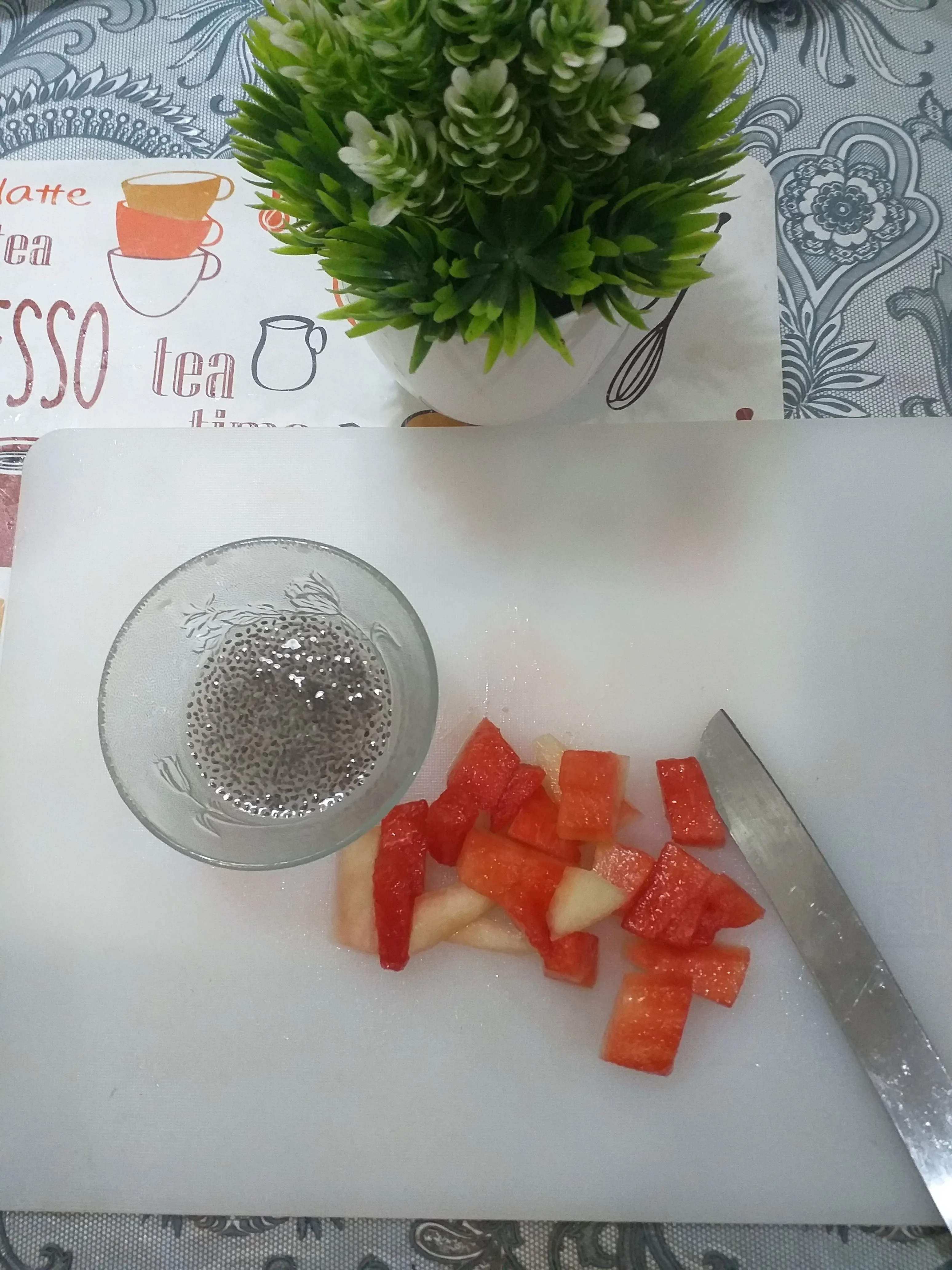 Step 1 Semangka Squash