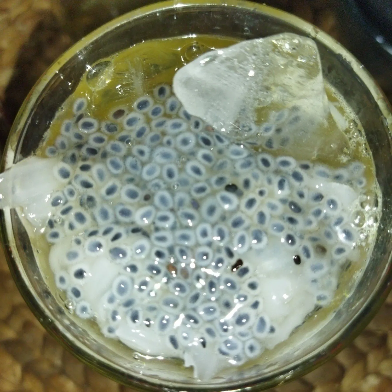 Step 5 Es Jeruk Peras Kelapa Muda