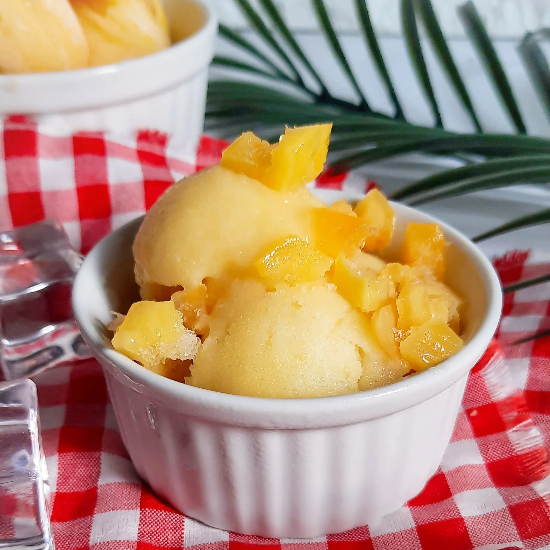 Step 5 Sorbet Nangka