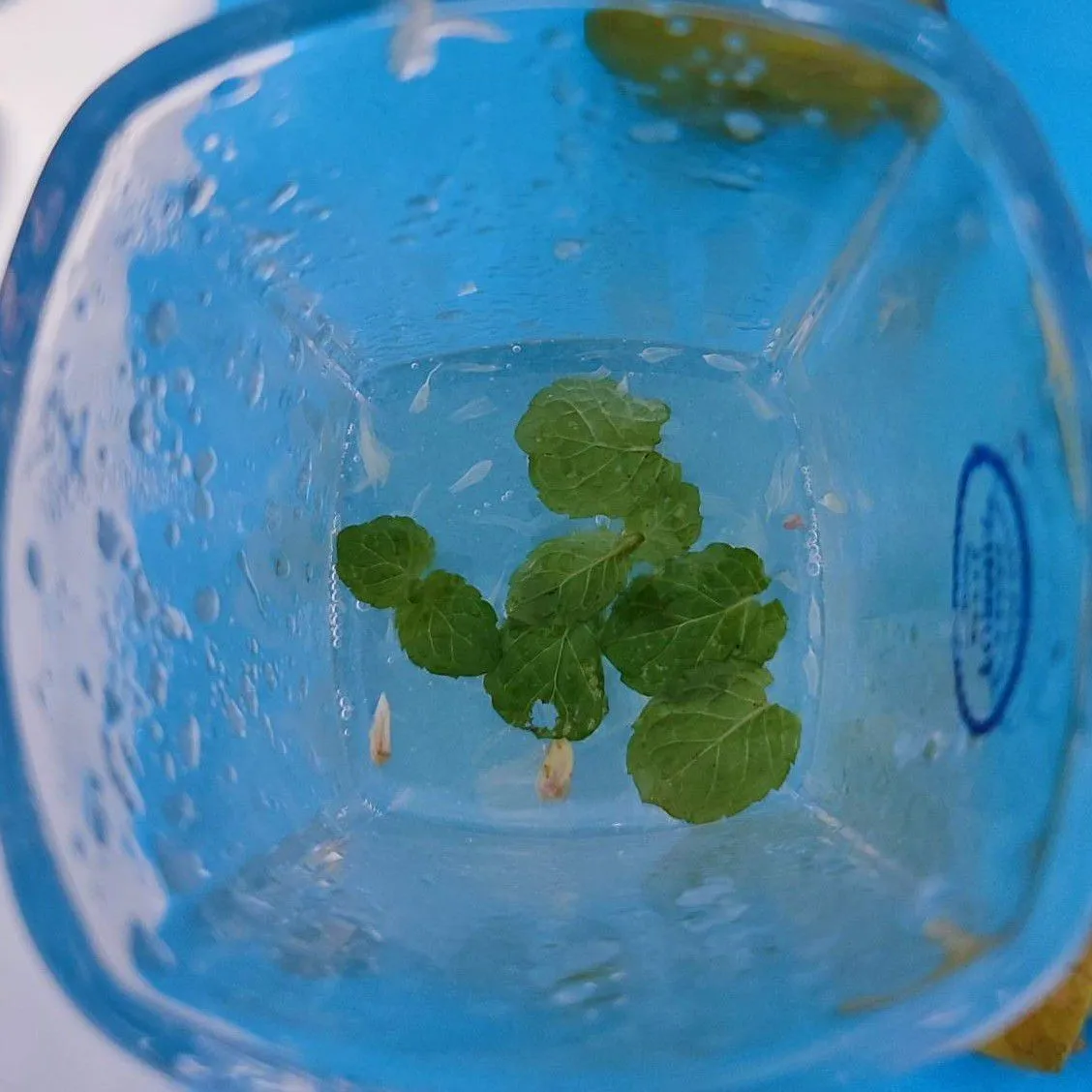 Step 3 Classic Mojito