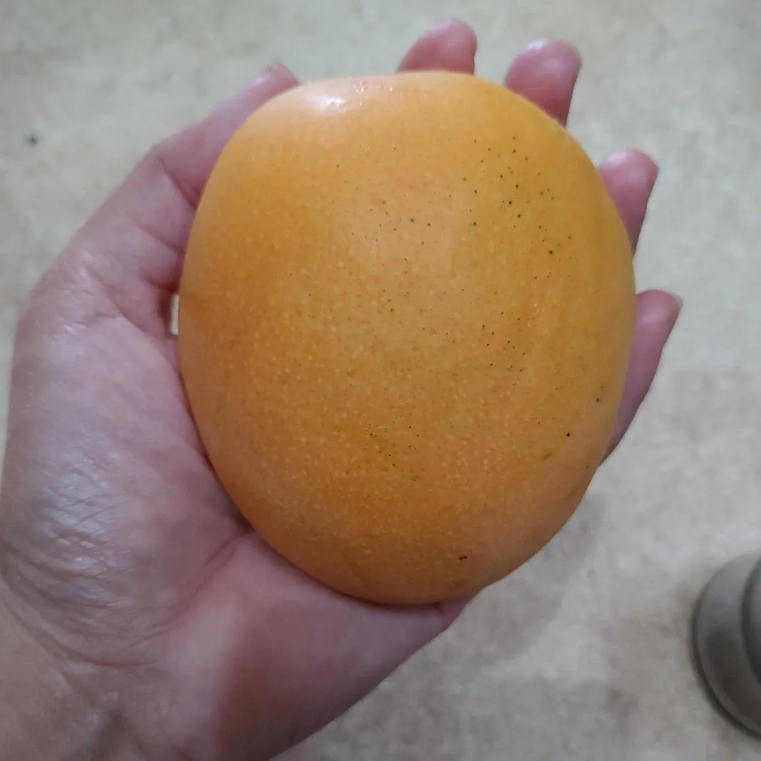 Step 1 Smoothies Mangga Nataco