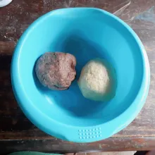 Bagi 2 adonan, tambahkan coklat, uleni hingga rata.