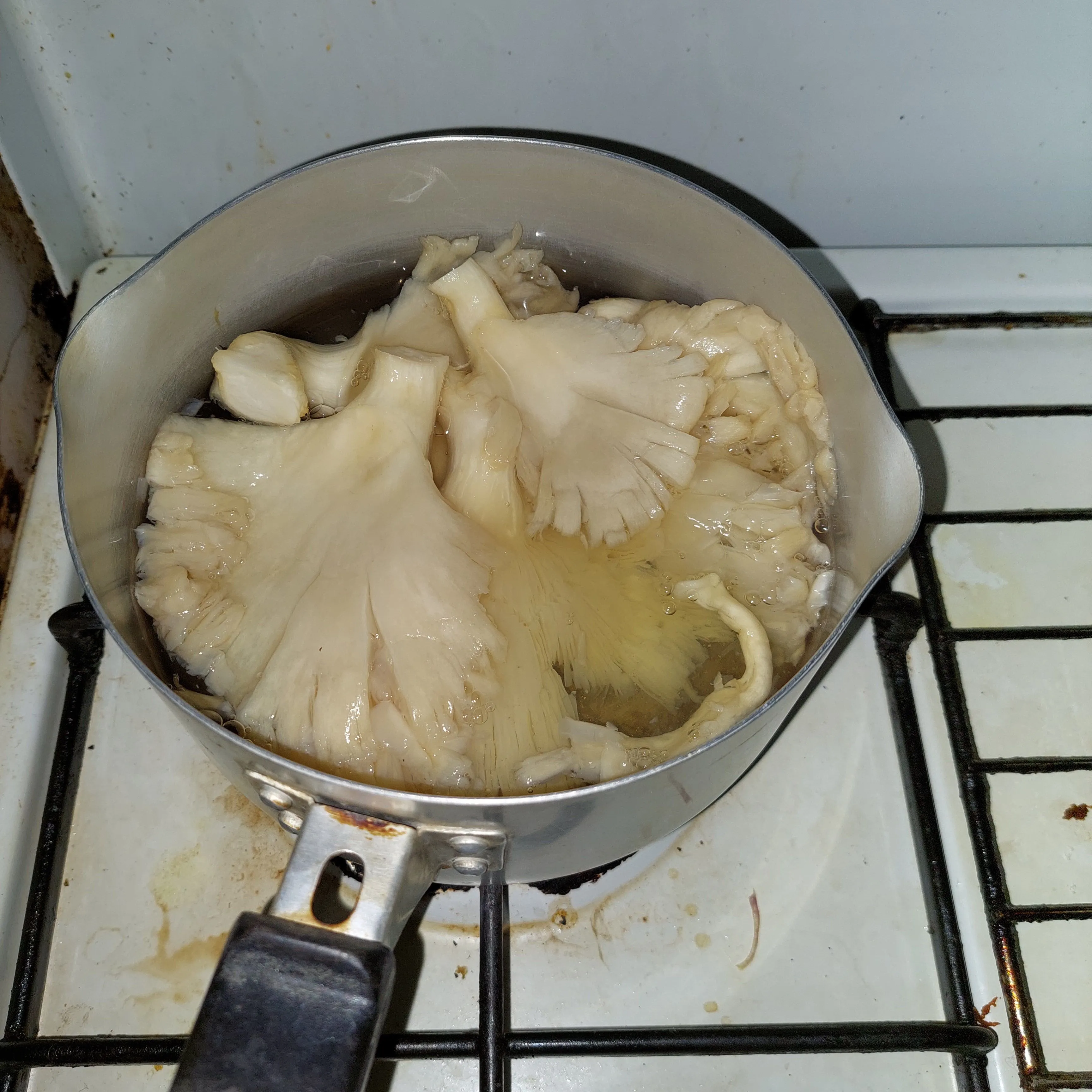 Step 2 Sup Jamur Tiram Sayuran