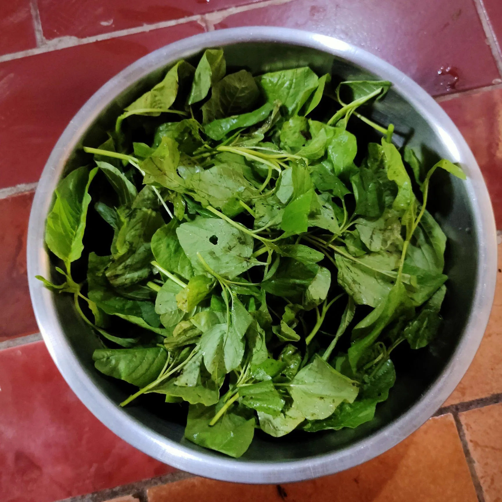 Step 1 Tumis Bayam Saos Tiram