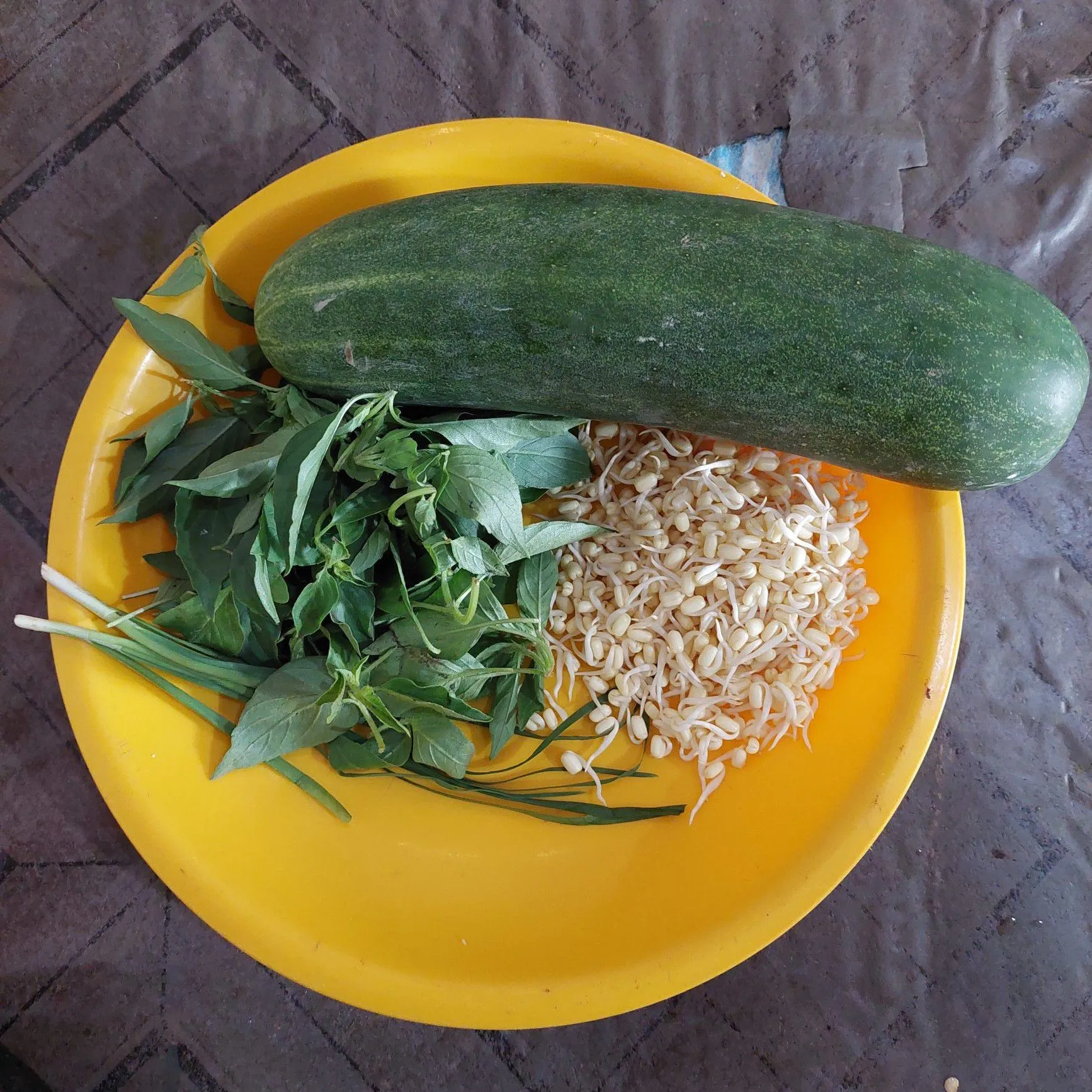 Step 1 Trancam Timun Kemangi
